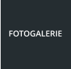 FOTOGALERIE