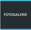 FOTOGALERIE